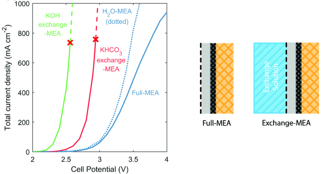 Modelling results for two membrane-electrode assembly (MEA) configurations with a Ag cathode performing CO2R to CO. The KHCO3 and KOH exchange-MEAs can achieve higher current densities than the full-MEA due to better membrane hydration, but is limited to ca. 700 mA cm-2 by salt precipitation at the cathode. Circulating liquid H2O at the anode (H2O-MEA) can improve membrane hydration and circumvent salt-precipitation issues seen in exchange-MEAs. 