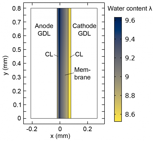 Diagram depicting high water concentration at the anode (blue) and low concentration at the cathode (yellow) in an AEM fuel cell.