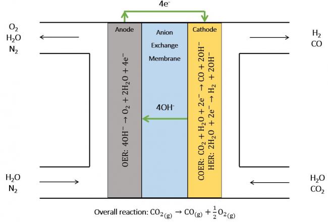 A vapor-fed Full-MEA (membrane-electrode assembly) for CO2 reduction. Humidified gases are fed into the anode and cathode and, with the application of an overpotential, the OER (oxygen evolution), HER (hydrogen evolution), and COER (carbon monoxide evolution) electrochemical reactions are facilitated in the catalyst layers, leading to the release of product gases. Each electrode consists of an appropriate electrocatalyst, ionomer, and gas-diffusion or porous transport layer, with a selective AEM (anion exchange membrane) in between.